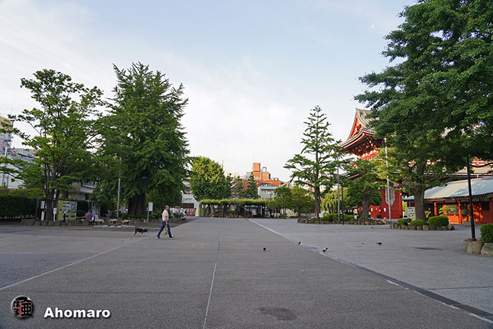 写真00