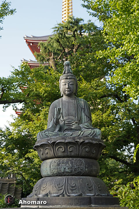 写真00