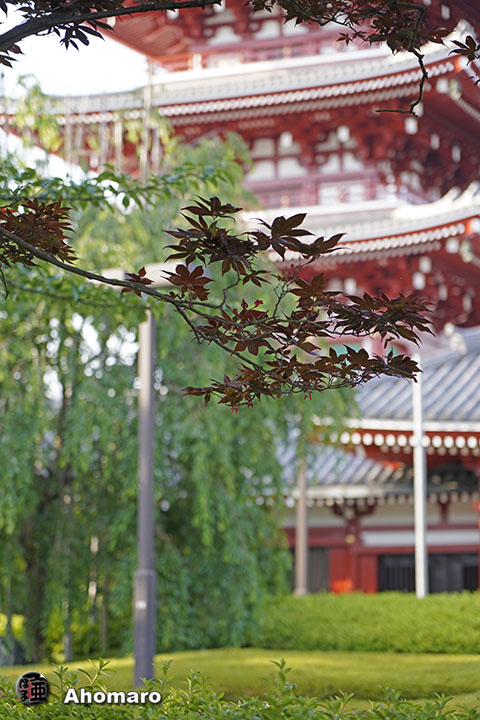写真00