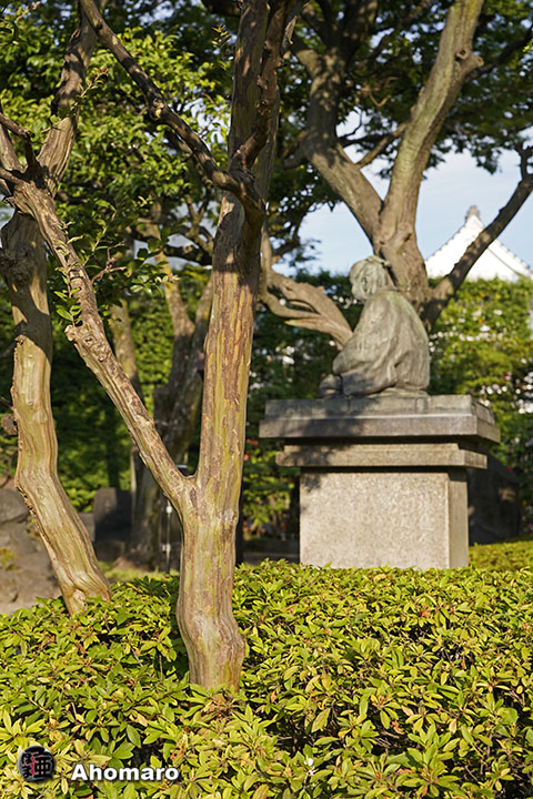 写真00