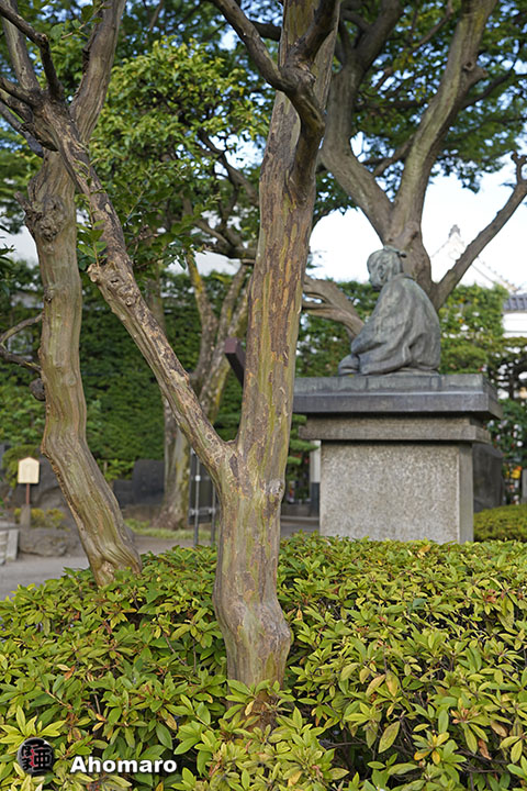 写真00