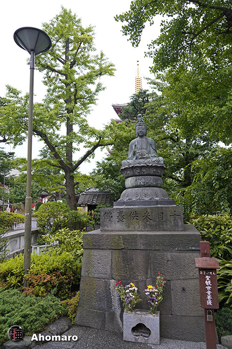 写真00
