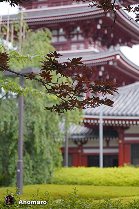 写真00