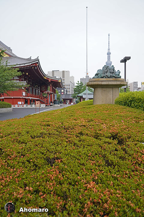 写真00