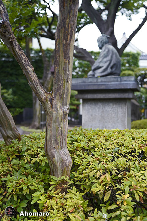 写真00