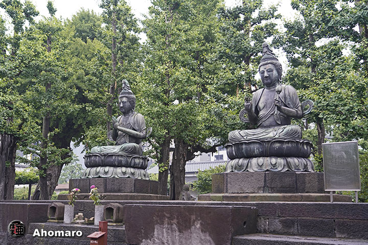 写真00