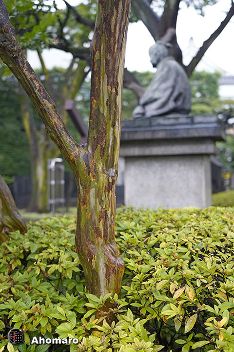 写真00