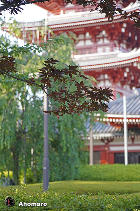 写真00