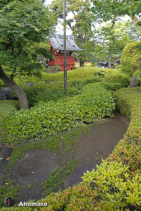 写真00