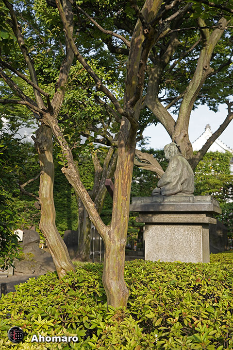 写真00