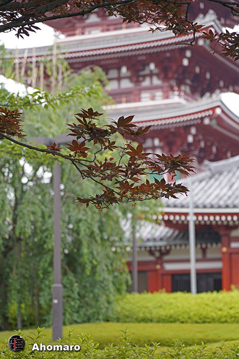 写真00