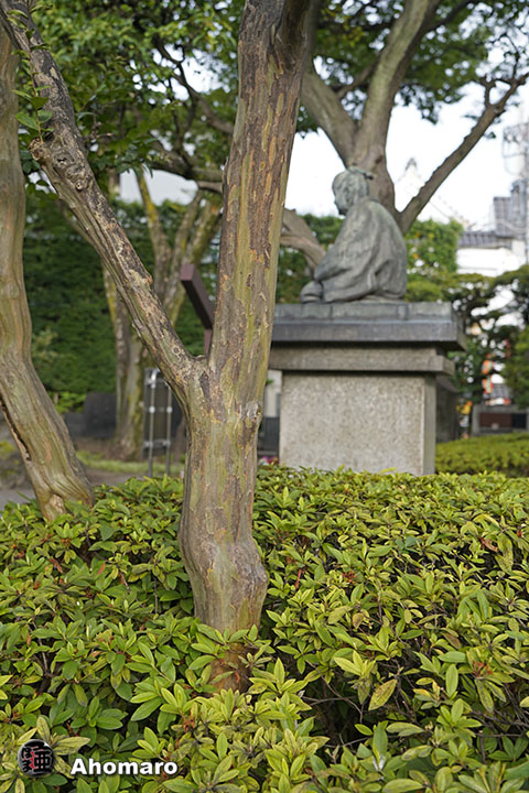 写真00