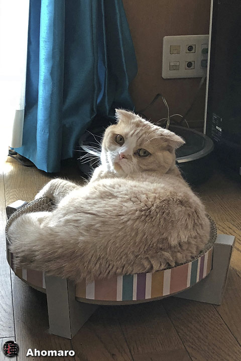 ʐ^00