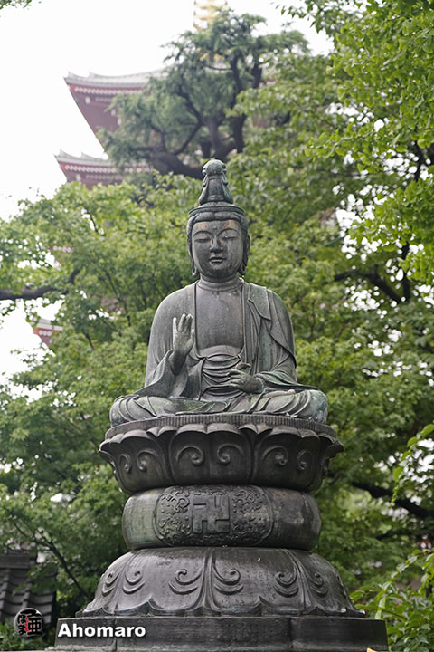 写真00