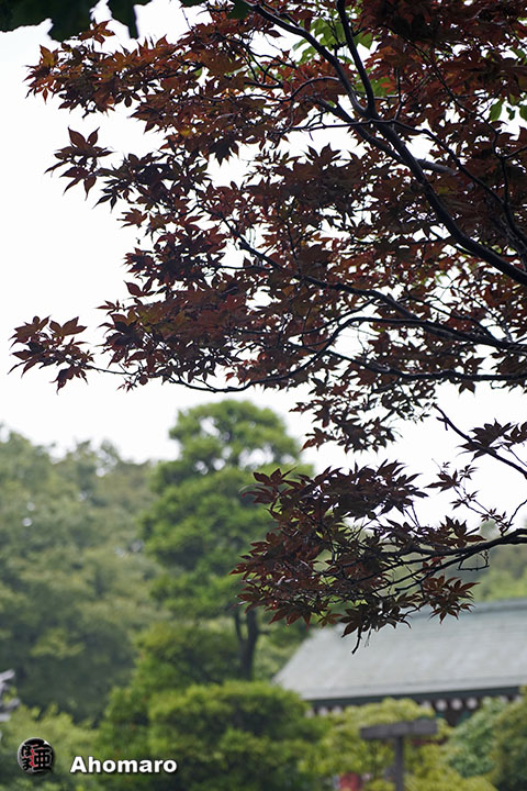 写真00