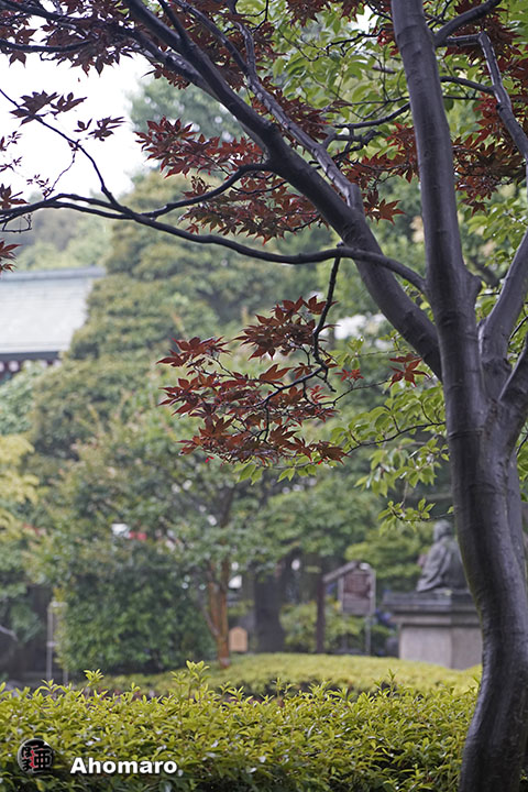 写真00