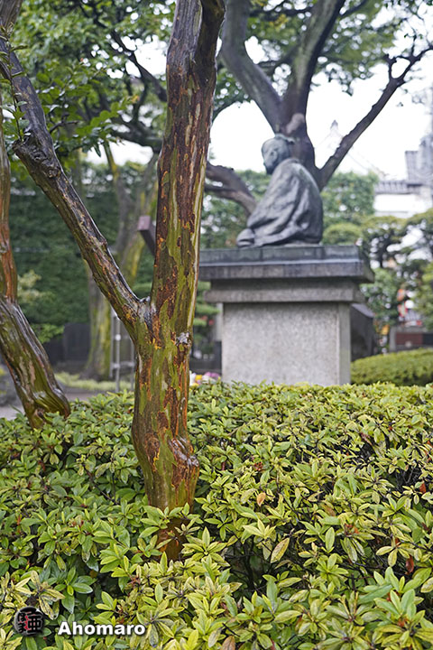 写真00