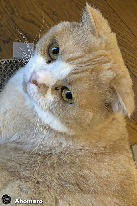 ʐ^00