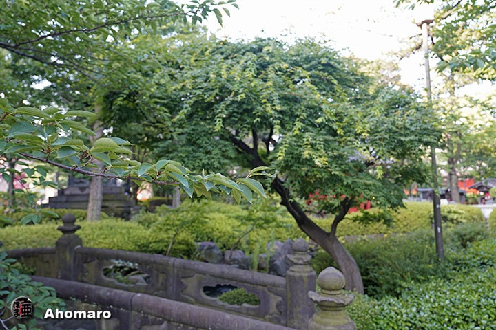 写真00