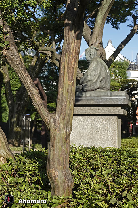 写真00