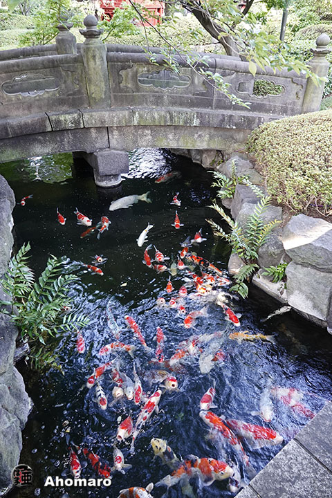 写真00