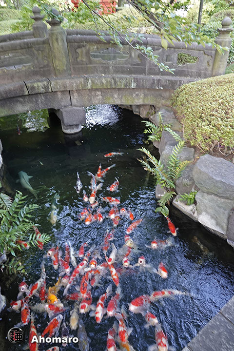 写真00
