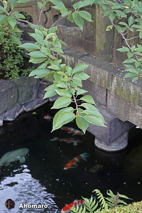 写真00