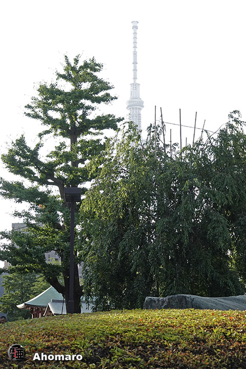 写真00