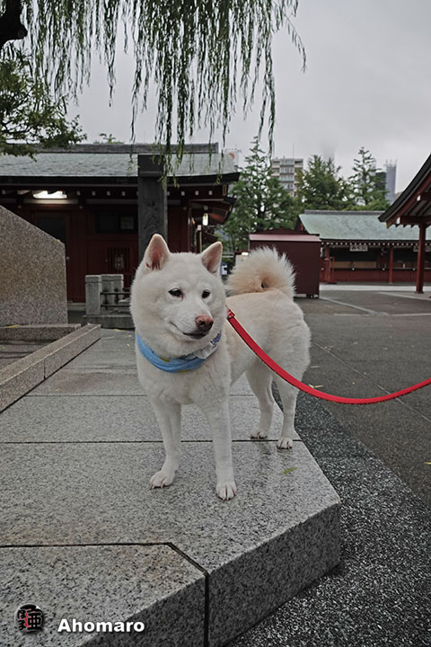 写真00
