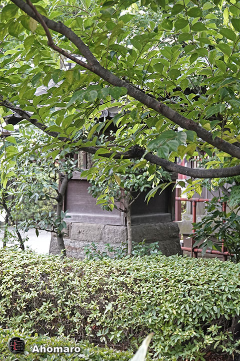 写真00