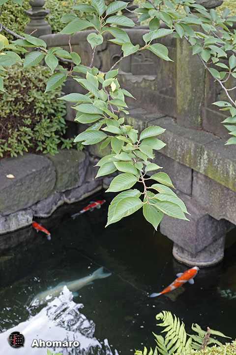 写真00