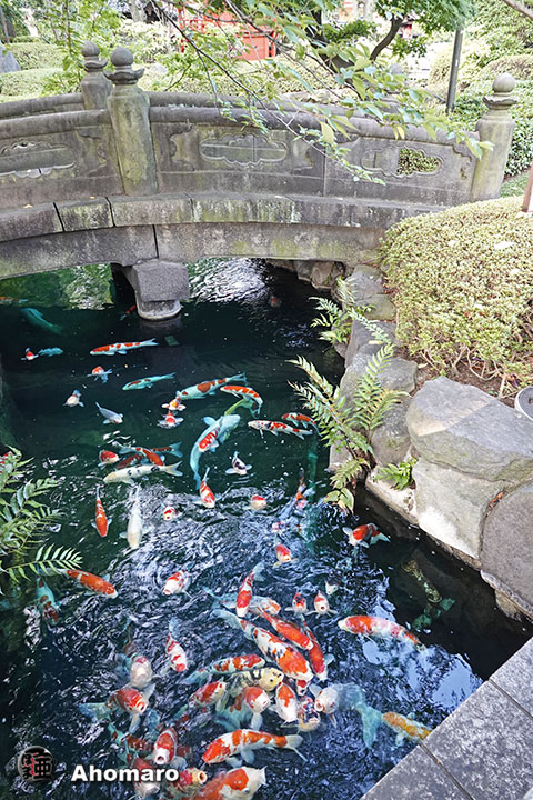 写真00