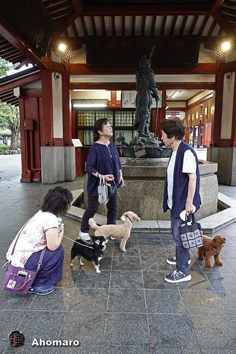 写真00