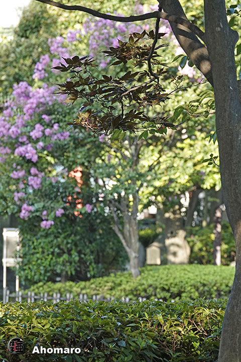 写真00