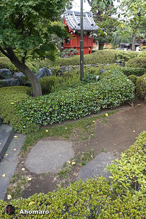 写真00