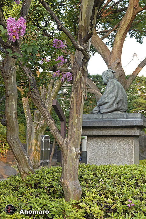 写真00