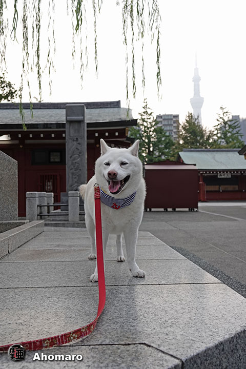 写真00
