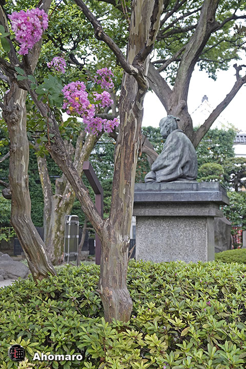 写真00