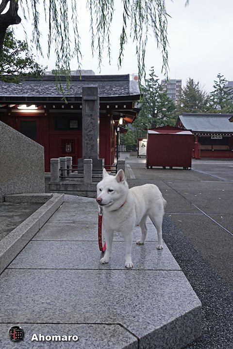 写真00