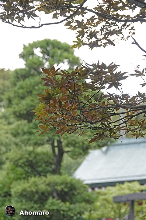 写真00
