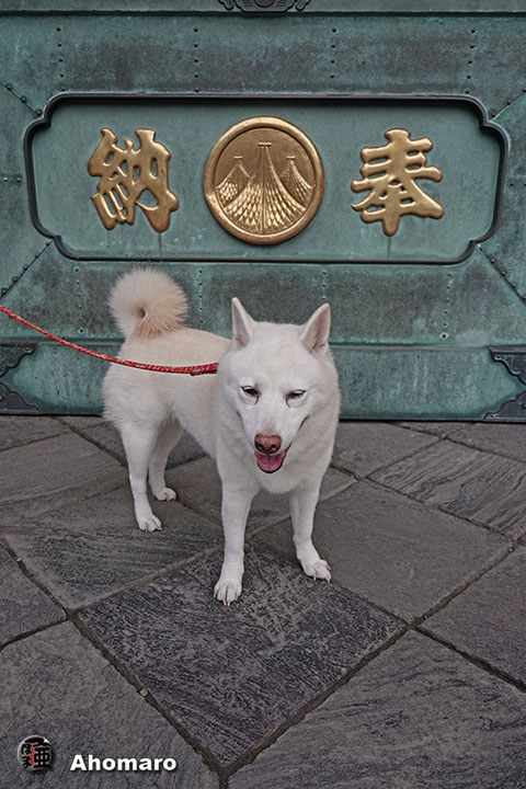 ʐ^00