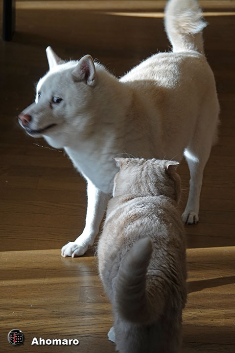 ʐ^00