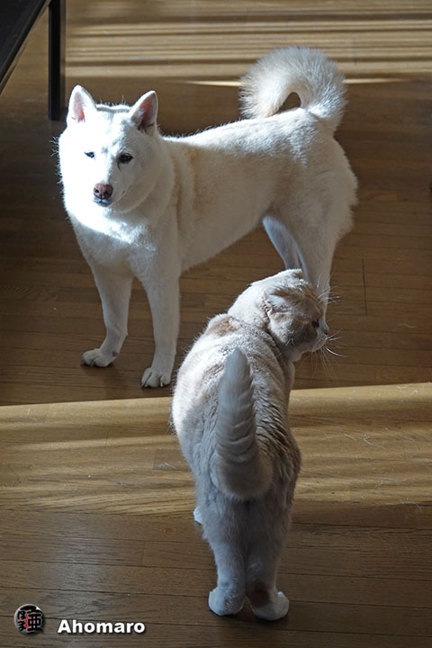 ʐ^00