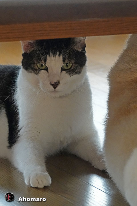 ʐ^00