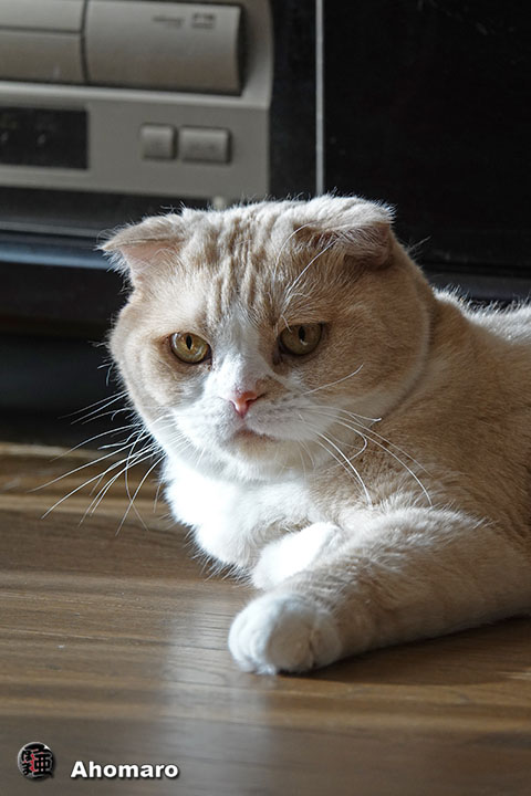 ʐ^00