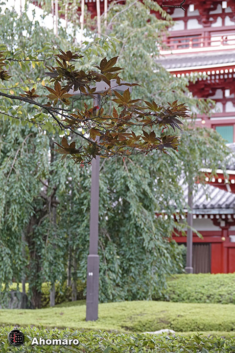 写真00