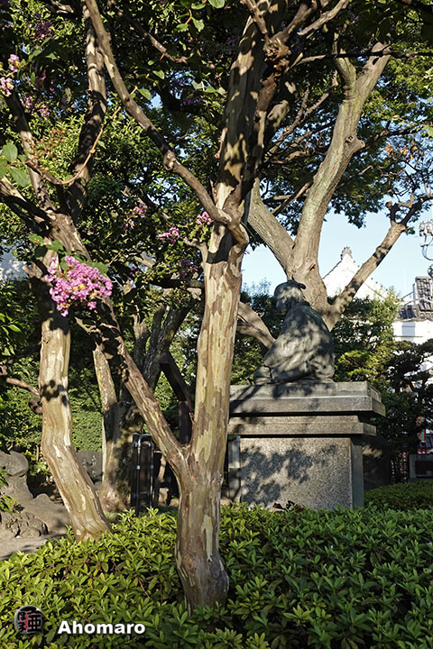 写真00