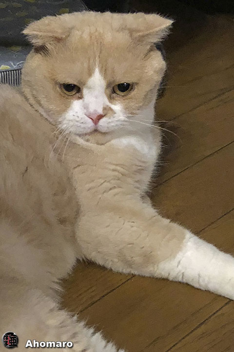 写真00