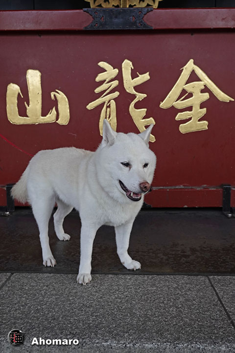 ʐ^00