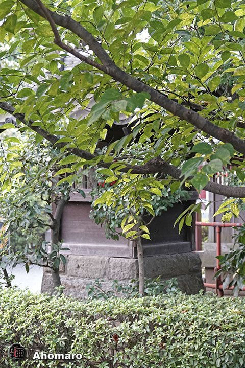 写真00